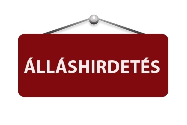 Állárshirdetés - rendszergazda