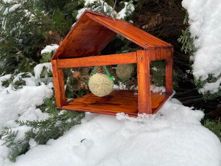 Iskolánk madáretetőt és madáreleséget kapott