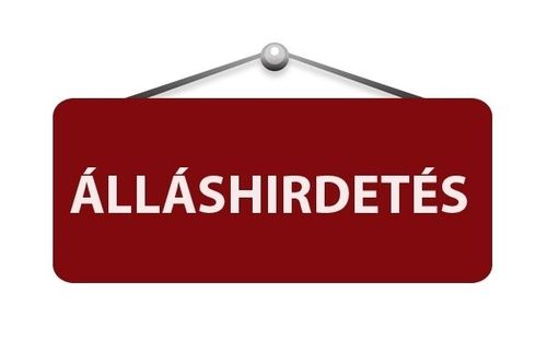 Állárshirdetés - rendszergazda
